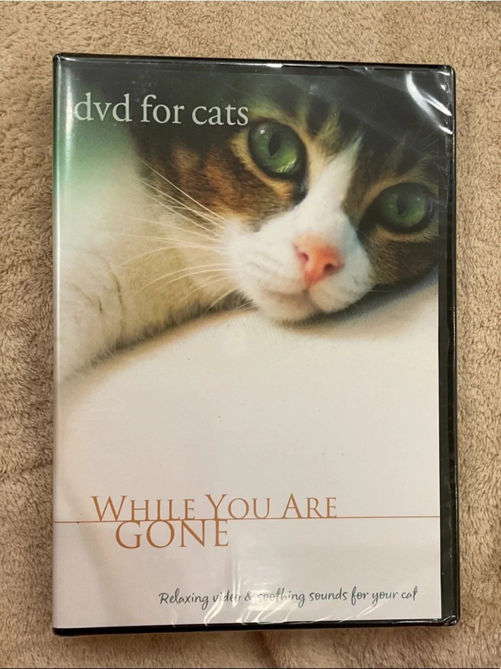 Relaxing DVD for Cats